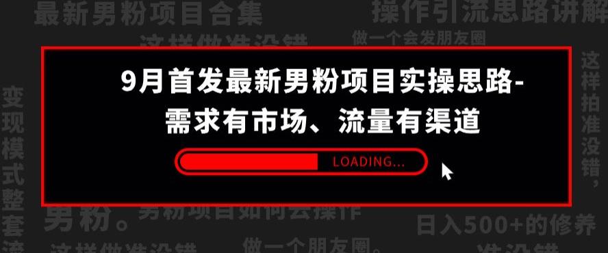 9月首发最新男粉项目实操思路-需求有市场，流量有渠道【揭秘】第一学习库-致力于各大收费VIP教程和网赚项目分享第一学习库