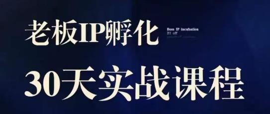 诸葛·2023老板IP实战课，实体同城引流获客，IP孵化必听第一学习库-致力于各大收费VIP教程和网赚项目分享第一学习库