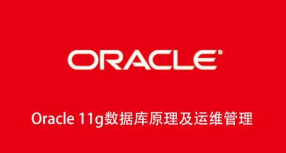 Oracle 11g数据库原理及运维管理第一学习库-致力于各大收费VIP教程和网赚项目分享第一学习库